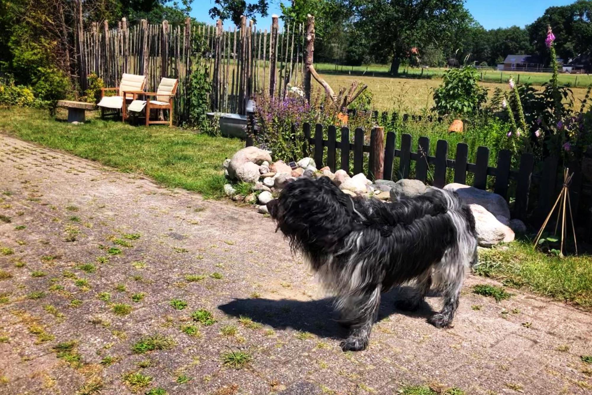 B&B Zandhuizen Kültér fotó
