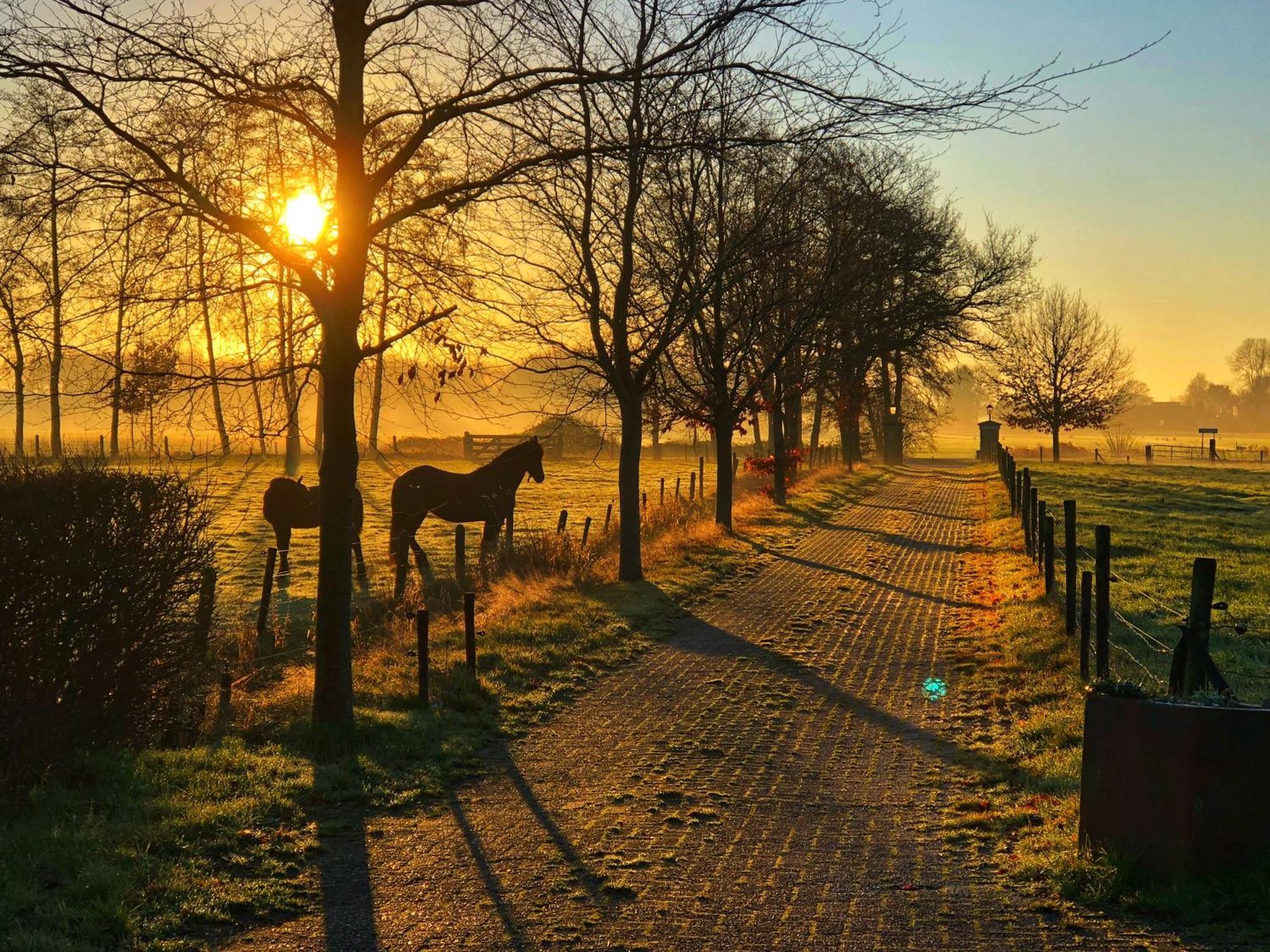 B&B Zandhuizen Kültér fotó