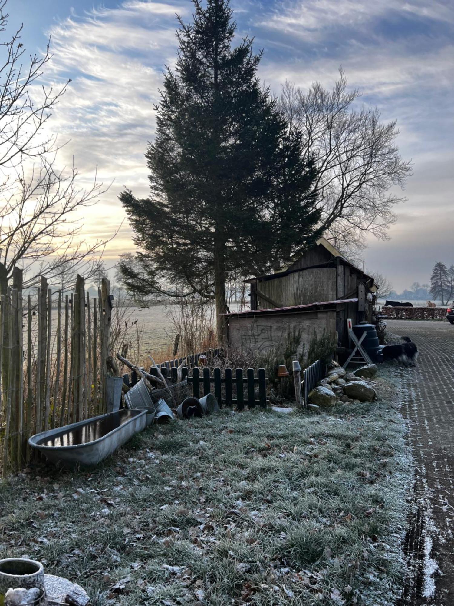 B&B Zandhuizen Kültér fotó