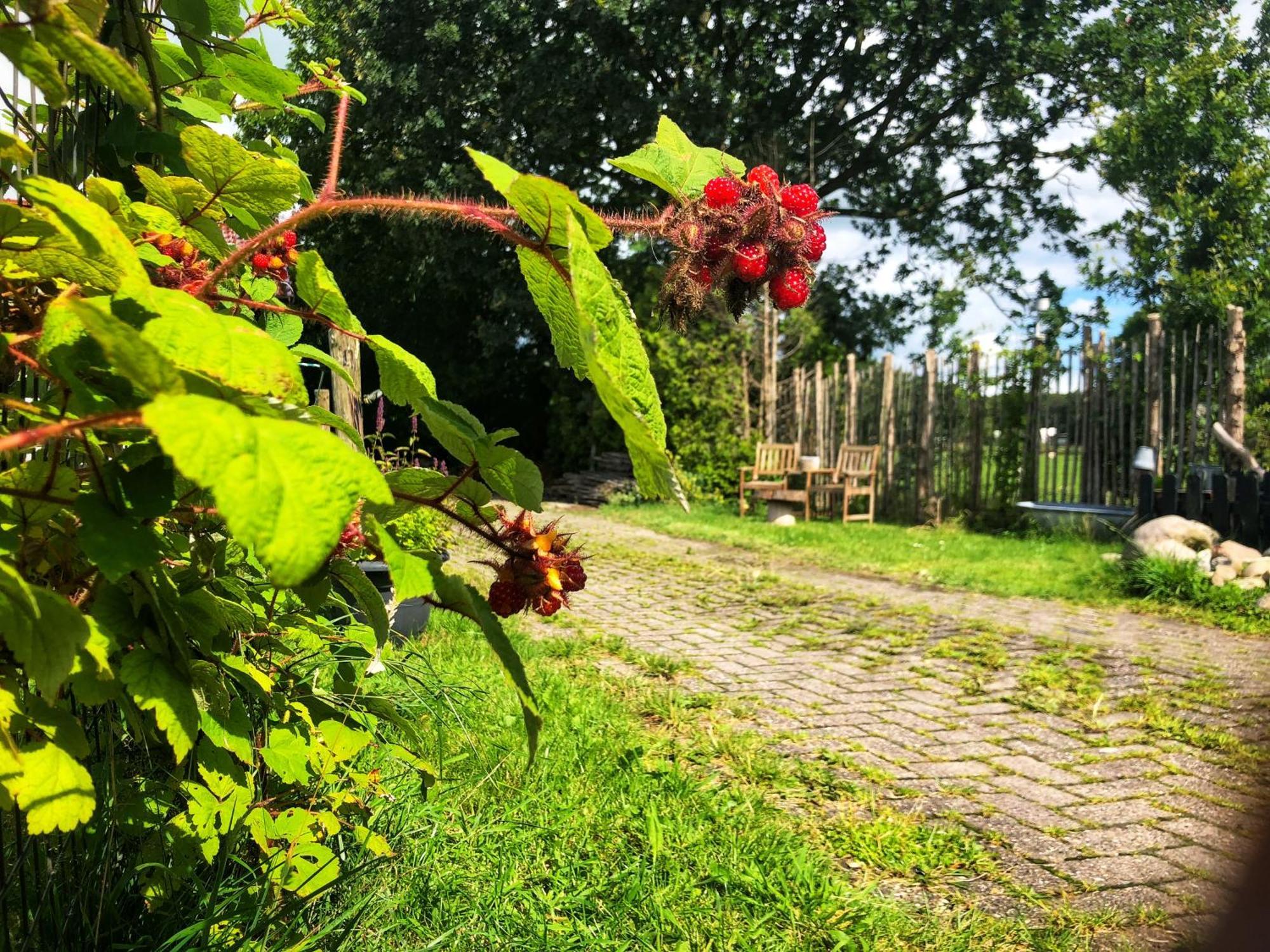 B&B Zandhuizen Kültér fotó