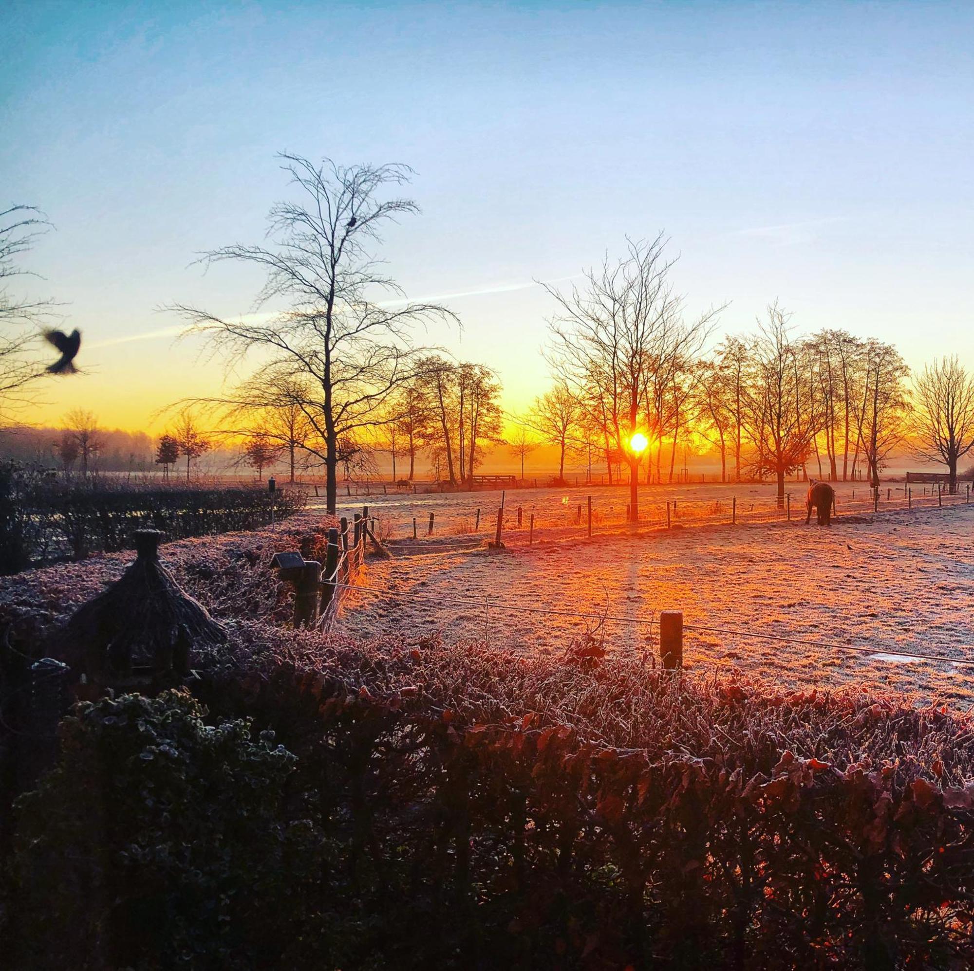 B&B Zandhuizen Kültér fotó